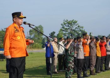 Gubernur Jambi Pimpin Apel Siaga Karhutla