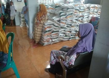 Kelurahan Sumelap Salurkan Bantuan beras Pemerintah ( CBP) Kepada 1375 Orang PBP