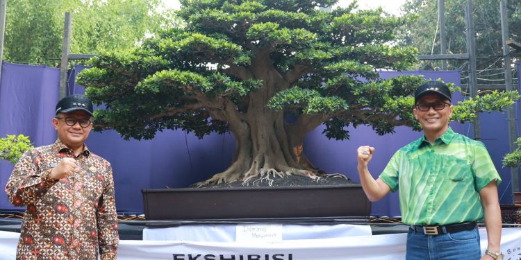 Festival Bonsai Nusantara, Pj. Wali Kota Bekasi Apresiasi Maha Karya Anak Bangsa