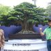 Festival Bonsai Nusantara, Pj. Wali Kota Bekasi Apresiasi Maha Karya Anak Bangsa
