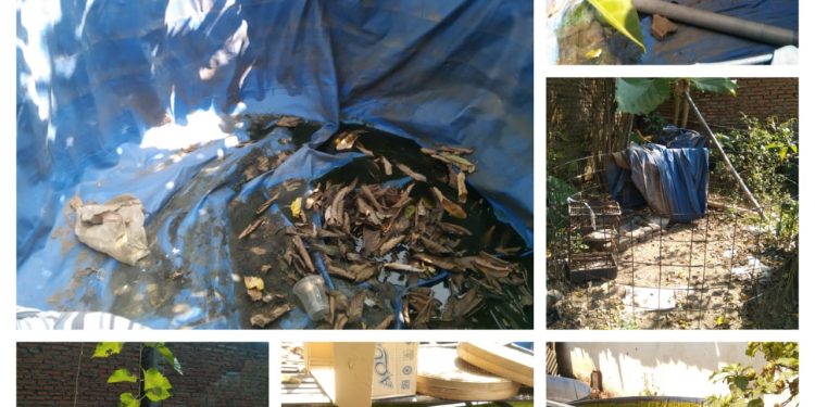 Anggaran Ketahanan Pangan Desa Kenongo Perlu Di Pertanyakan. Pembelian Lele.