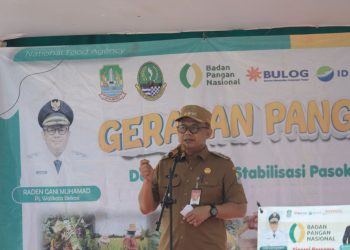 Gerakan Pangan Murah. Pj Gani Pastikan Harga dan pasokan pangan stabil