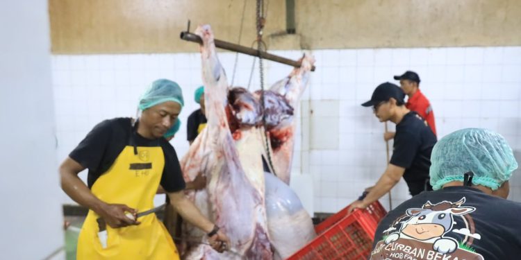 Dapat Sertifikat Halal Langsung dari Kepala Badan Penyelenggara Jaminan Produk Halal. Pj Wali Kota Bekasi Allhamdulillah Berkah sesuai Syariat Islam