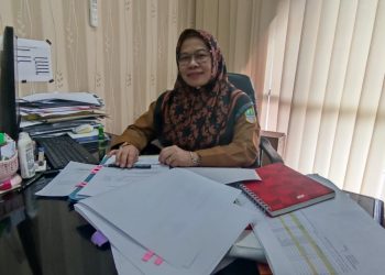 Dinas Pertanian Siapkan 43,8 Ton Benih untuk Petani Terdampak Banjir