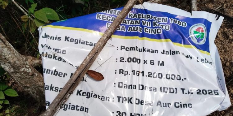 Penggelontoran Dana Desa (DD) Kades Aur Cino VII Koto Tebo Dipertanyakan Dalam sejumlah Pembangunan