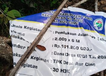 Penggelontoran Dana Desa (DD) Kades Aur Cino VII Koto Tebo Dipertanyakan Dalam sejumlah pembangunan