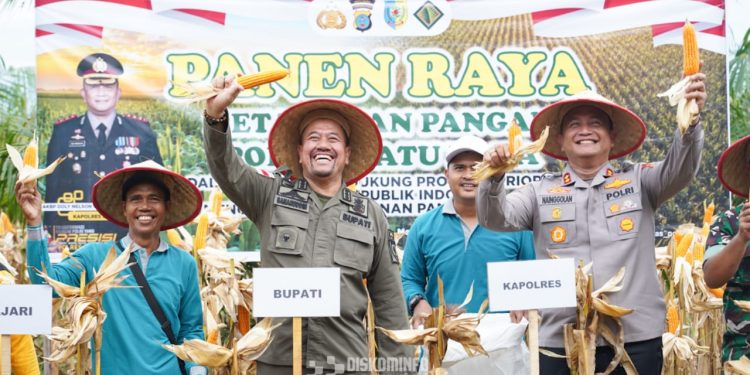 Dukung Program Ketahanan Pangan, Bupati Batu Bara Lakukan Panen Raya Jagung
