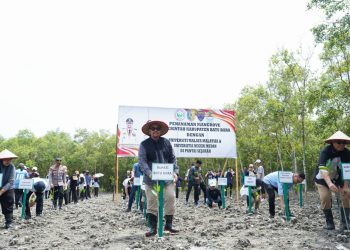 Bupati Batu Bara Perkenalkan Potensi Hutan Mangrove pada Mahasiswa/i Asal Universiti Malaya Malaysia