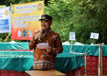Tebar Benih Lele, Wawali Harris Bobihoe Dukung Program Ketahanan Pangan Nasional