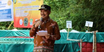 Tebar Benih Lele, Wawali Harris Bobihoe Dukung Program Ketahanan Pangan Nasional