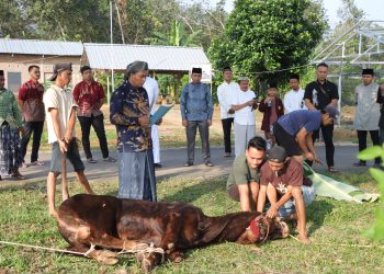 Peringati Idul Adha 1446 H, Polres Pesawaran Sembelih 9 Hewan Kurban dan Bagikan kepada Masyarakat