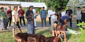 Peringati Idul Adha 1446 H, Polres Pesawaran Sembelih 9 Hewan Kurban dan Bagikan kepada Masyarakat