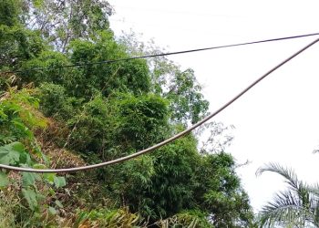 Kabel Listrik PLN dibeberapa titik jalan Lintas Kecamatan berserakan dan ada yang menjuntai ketanah seperti tidak terurus