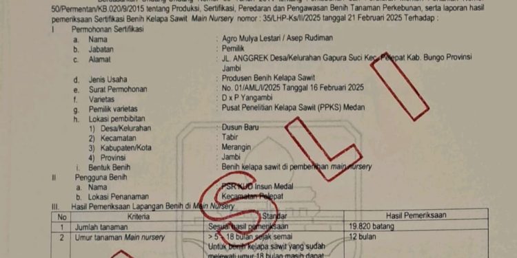 Agro Mulya Lestari Dipercaya Untuk Pengadaan Bibit Sawit Seluas 127 Hektar Dari Program PSR 2025