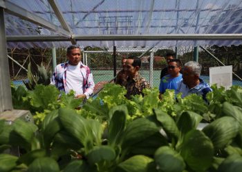 Wali Kota Bekasi Apresiasi Rumah Batik Lansia Selasih, Dorong Kreativitas dan Kemandirian Lansia