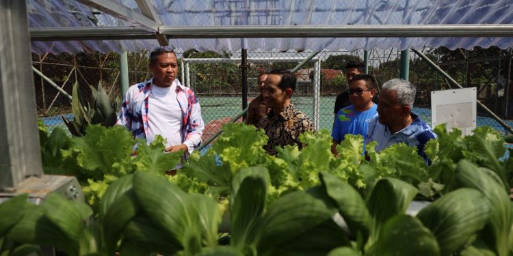 Wali Kota Bekasi Apresiasi Rumah Batik Lansia Selasih, Dorong Kreativitas dan Kemandirian Lansia