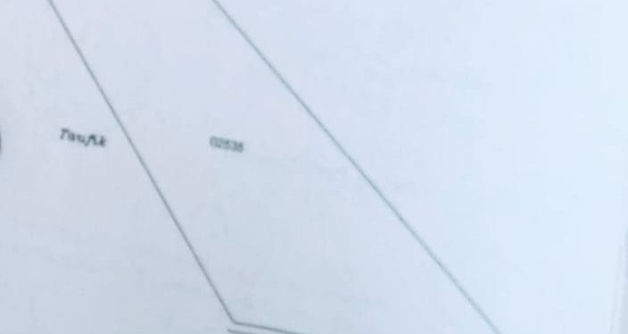 DIDUGA GARAP SERTA KUASAI DAN TANAMI SAWIT DI LAHAN MILIK ORANG LAIN, PELAKU TERANCAM AKAN DILAPORKAN PADA APH (APARAT PENEGAK HUKUM)