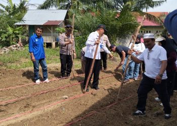 Pemdes Talang Pantai Tanam Jagung Serentak Kuartal lV, Guna Mendukung Program Ketahanan Pangan