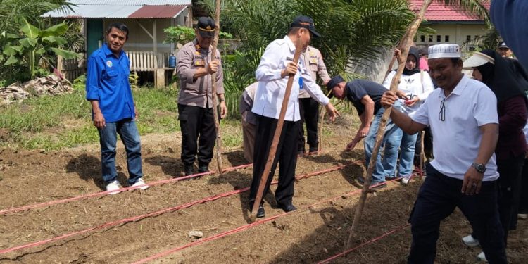 Pemdes Talang Pantai Tanam Jagung Serentak Kuartal lV, Guna Mendukung Program Ketahanan Pangan
