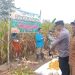 PEMERINTAHAN DESA DUSUN BARU, PANEN RAYA JAGUNG, SALAH SATU PROGRAM KETAHAN PANGAN NASIONAL