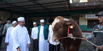 Plh. Wali Kota Bekasi Serahkan Bantuan Sapi Qurban Presiden di Masjid Al Mukhlisin Jatiasih