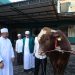 Plh. Wali Kota Bekasi Serahkan Bantuan Sapi Qurban Presiden di Masjid Al Mukhlisin Jatiasih