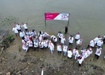 Tekan Abrasi Pesisir Pantai, DLH Bersama PT MILabs Tanam 1.500 Mangrove di Pantai Hurip Jaya