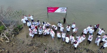 Tekan Abrasi Pesisir Pantai, DLH Bersama PT MILabs Tanam 1.500 Mangrove di Pantai Hurip Jaya