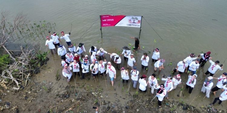 Tekan Abrasi Pesisir Pantai, DLH Bersama PT MILabs Tanam 1.500 Mangrove di Pantai Hurip Jaya