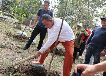 Perkuat Ruang Hijau Kota, Wali Kota Bekasi Tanam 200 Pohon di Danau Duta Harapan